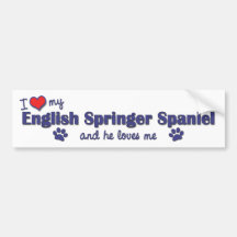 I Love My English Springer Spaniel (Male Dog) Bumper Stickers