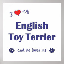 I Love My English Toy Terrier (Male Dog) Poster