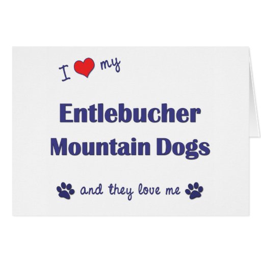 I Love My Entlebucher Mountain Dog (Multiple Dogs) Card