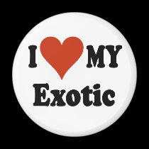 I Love My Exotic Cat Merchandise magnets