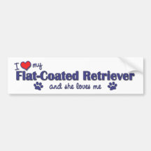 I Love My Flat-Coated Retriever (Female Dog) Bumper Stickers
