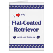 I Love My Flat-Coated Retriever (Female Dog) Greeting Card