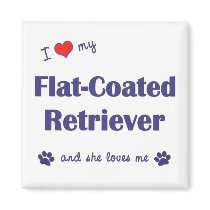 I Love My Flat-Coated Retriever (Female Dog) Magnets