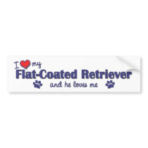 I Love My Flat-Coated Retriever (Male Dog) Bumper Stickers