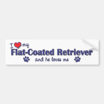 I Love My Flat-Coated Retriever (Male Dog) Bumper Stickers