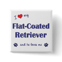 I Love My Flat-Coated Retriever (Male Dog) Buttons