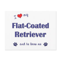 I Love My Flat-Coated Retriever (Male Dog) Post Cards