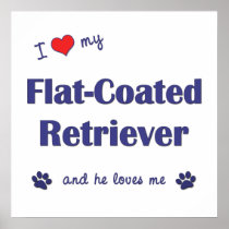 I Love My Flat-Coated Retriever (Male Dog) Poster
