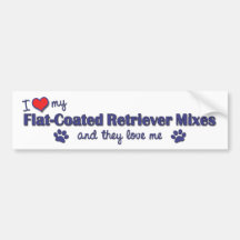 I Love My Flat-Coated Retriever Mixes (Multi Dogs) Bumper Sticker