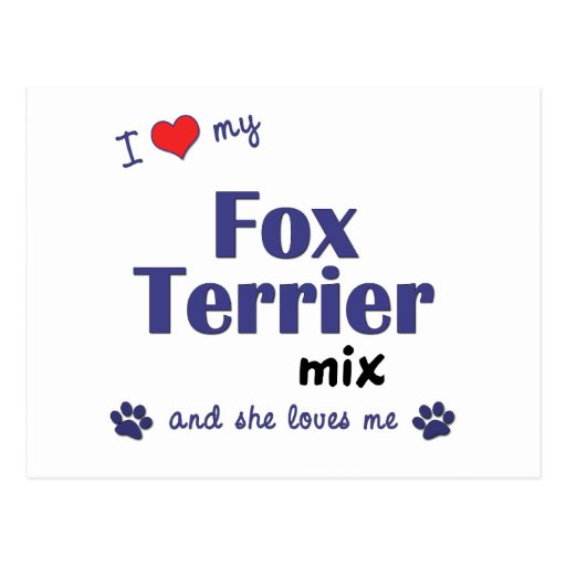 I Love My Fox Terrier Mix (Female Dog) Postcards