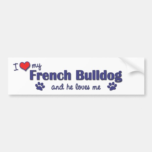 I Love My French Bulldog (Male Dog) Bumper Sticker