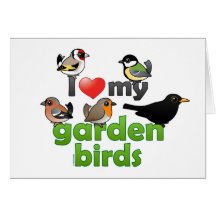 I Love My Garden Birds Greeting Cards