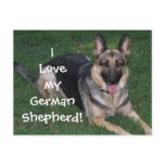 I love my German Shepherd Postcard!