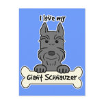 I Love My Giant Schnauzer postcards