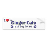 I Love My Ginger Cats (Multiple Cats) bumper stickers