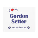I Love My Gordon Setter (Female Dog) postcards
