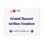 I Love My Grand Basset Griffon Vendeen (Male Dog) postcards