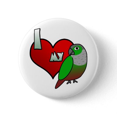 I Love my Green Cheeked Conure Button by MenagerieMayhem