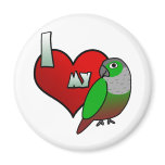 I Love my Green Cheeked Conure magnets