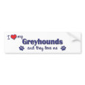I Love My Greyhounds (Multiple Dogs) bumper stickers