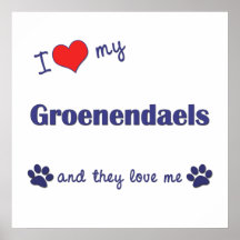I Love My Groenendaels (Multiple Dogs) Posters