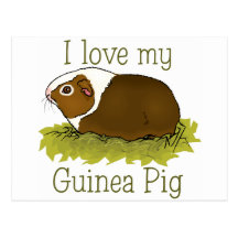 I Love my Guinea Pig Postcards