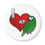 I Love my Hahn's Macaw magnets