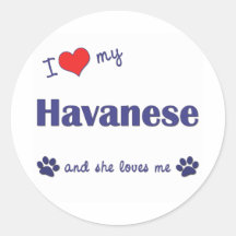 I Love My Havanese (Female Dog) Sticker