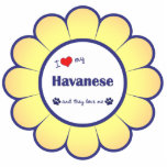 I Love My Havanese (Multiple Dogs) Photo Sculptures