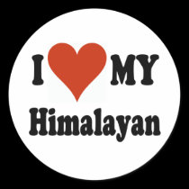 I Love My Himalayan Cat Gifts and Apparel stickers