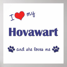 I Love My Hovawart (Female Dog) Poster