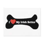 I Love My Irish Setter  - Dog Bone postcards