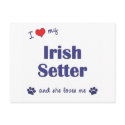 I Love My Irish Setter (Female Dog) postcards