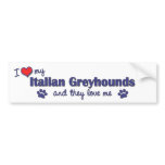I Love My Italian Greyhounds (Multiple Dogs) bumper stickers