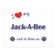 I Love My Jack-A-Bee (Male Dog) Post Cards