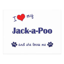 I Love My Jack-a-Poo (Female Dog) Postcards