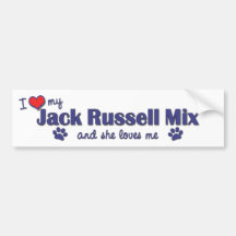 I Love My Jack Russell Mix (Female Dog) Bumper Sticker
