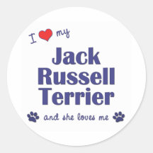 I Love My Jack Russell Terrier (Female Dog) Round Stickers