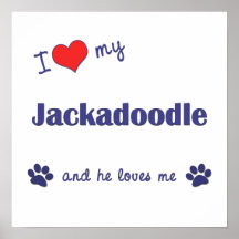 I Love My Jackadoodle (Male Dog) Posters