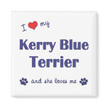 I Love My Kerry Blue Terrier (Female Dog) magnets