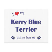 I Love My Kerry Blue Terrier (Male Dog) Post Cards