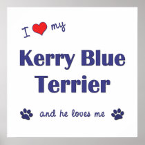 I Love My Kerry Blue Terrier (Male Dog) Poster