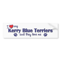 I Love My Kerry Blue Terriers (Multiple Dogs) Bumper Sticker