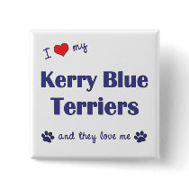 I Love My Kerry Blue Terriers (Multiple Dogs) Buttons