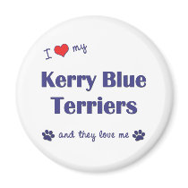 I Love My Kerry Blue Terriers (Multiple Dogs) Magnet