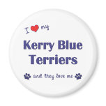 I Love My Kerry Blue Terriers (Multiple Dogs) magnets