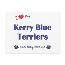 I Love My Kerry Blue Terriers (Multiple Dogs) Post Card