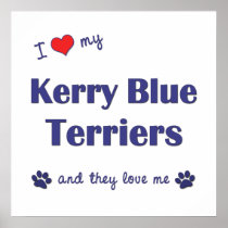 I Love My Kerry Blue Terriers (Multiple Dogs) Print
