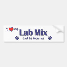 I Love My Lab Mix (Male Dog) Bumper Sticker
