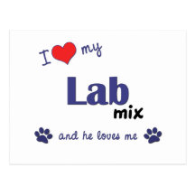 I Love My Lab Mix (Male Dog) Postcards